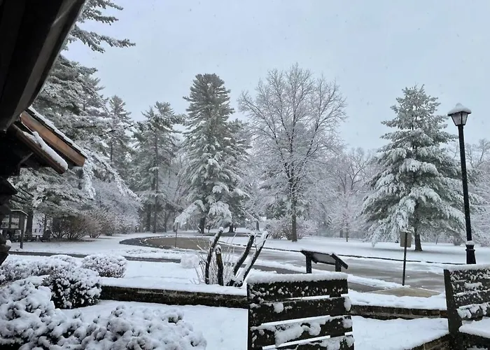 Hotel White Pines