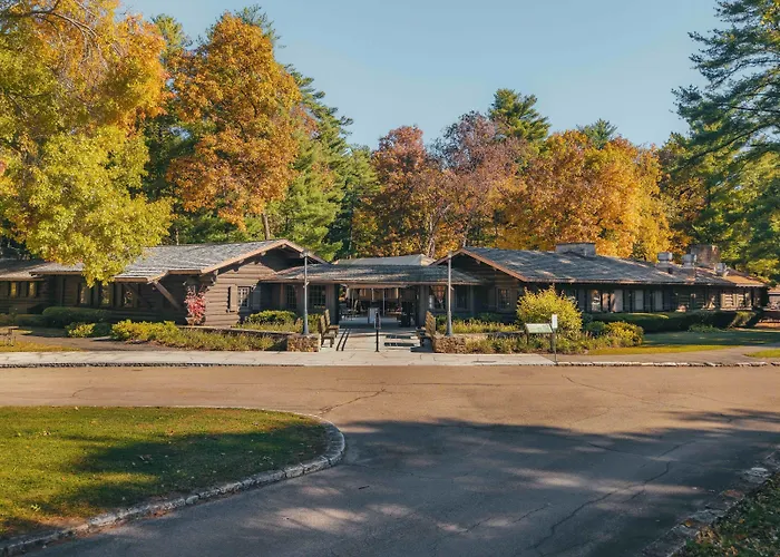 White Pines